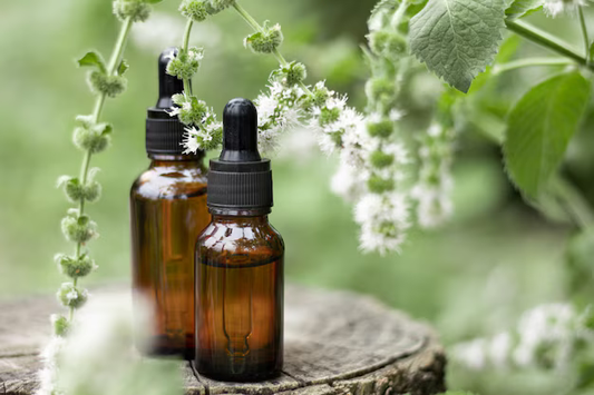 Oils for Seborrheic Dermatitis, Dandruff, & Fungal Acne: What to Use and Avoid