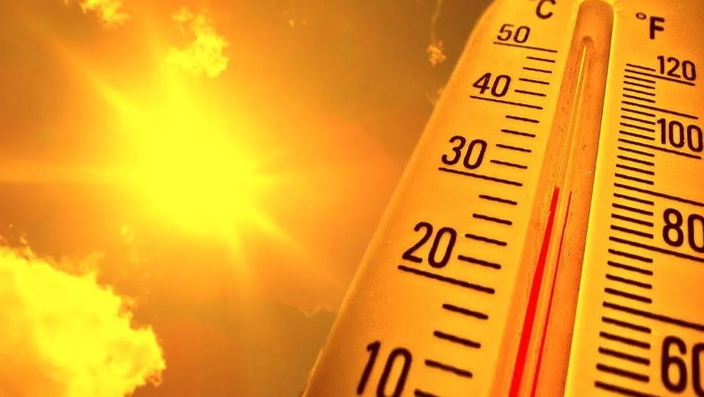 Seborrheic Dermatitis and Sun Exposure: A Summer Skin-Care Guide