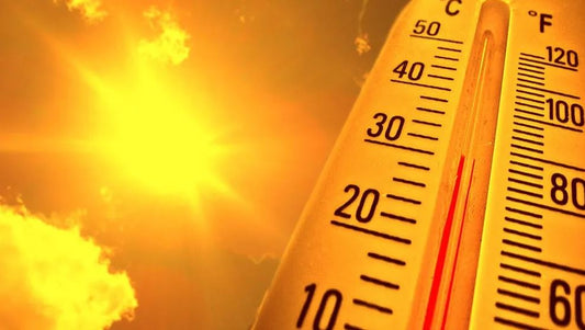 Seborrheic Dermatitis and Sun Exposure: A Summer Skin-Care Guide