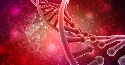 Seborrheic Dermatitis and Hormones: The Hidden Role of Metabolic Signalling
