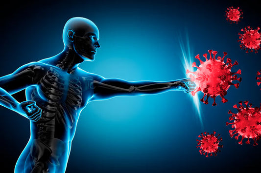 Eczema, Psoriasis and the Immune System: What Is Happening Beneath Your Skin?