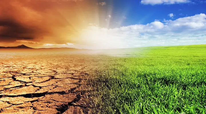 The Role of Environmental and Lifestyle Factors in Managing Seborrheic Dermatitis and Eczema