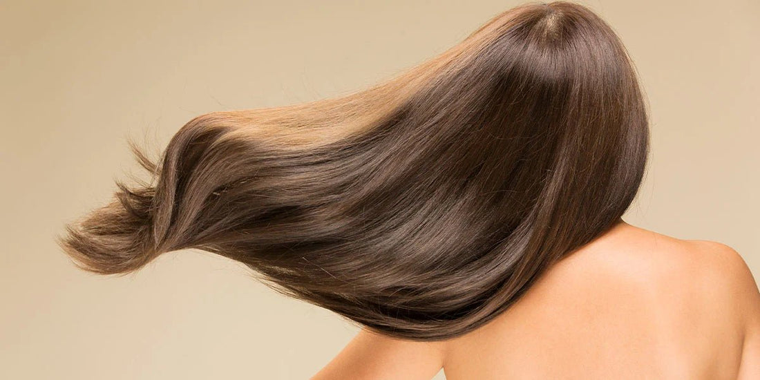 Healthy Scalp, Healthy Hair: Why Scalp Oil Should Be Part of Your Routine - Seb