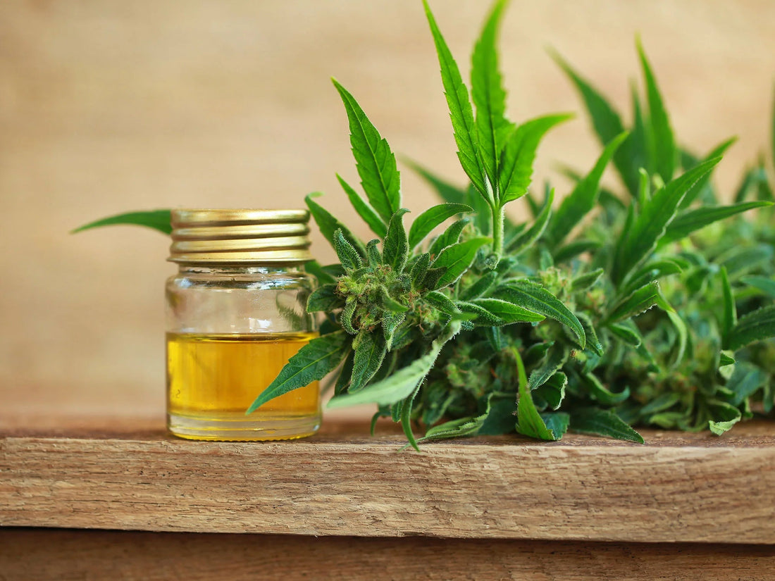 Hemp and Eczema: A Natural Solution for Sensitive Skin - Seb