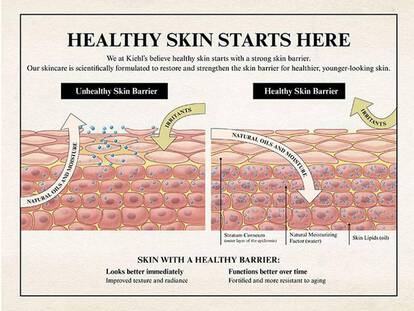 How to Support Your Skin Barrier: A Simple Guide to Healthier-Looking Skin