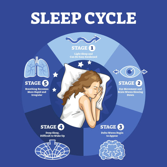 Seborrheic Dermatitis and Sleep Cycles: How Circadian Rhythm Affects Flare-Ups