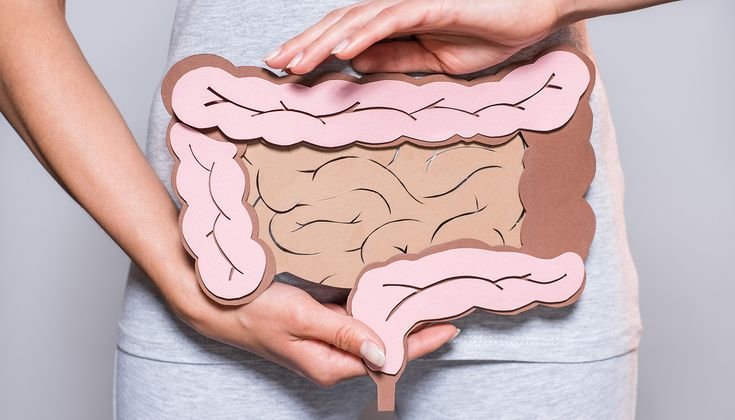 The Gut-Skin Connection: Understanding the Link between Gut Health and Skin Conditions - Seb