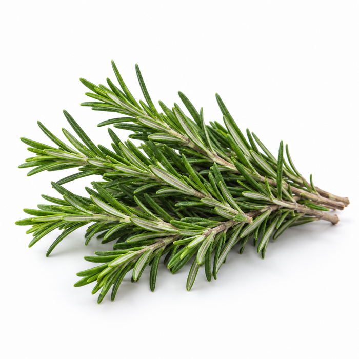 Rosemary